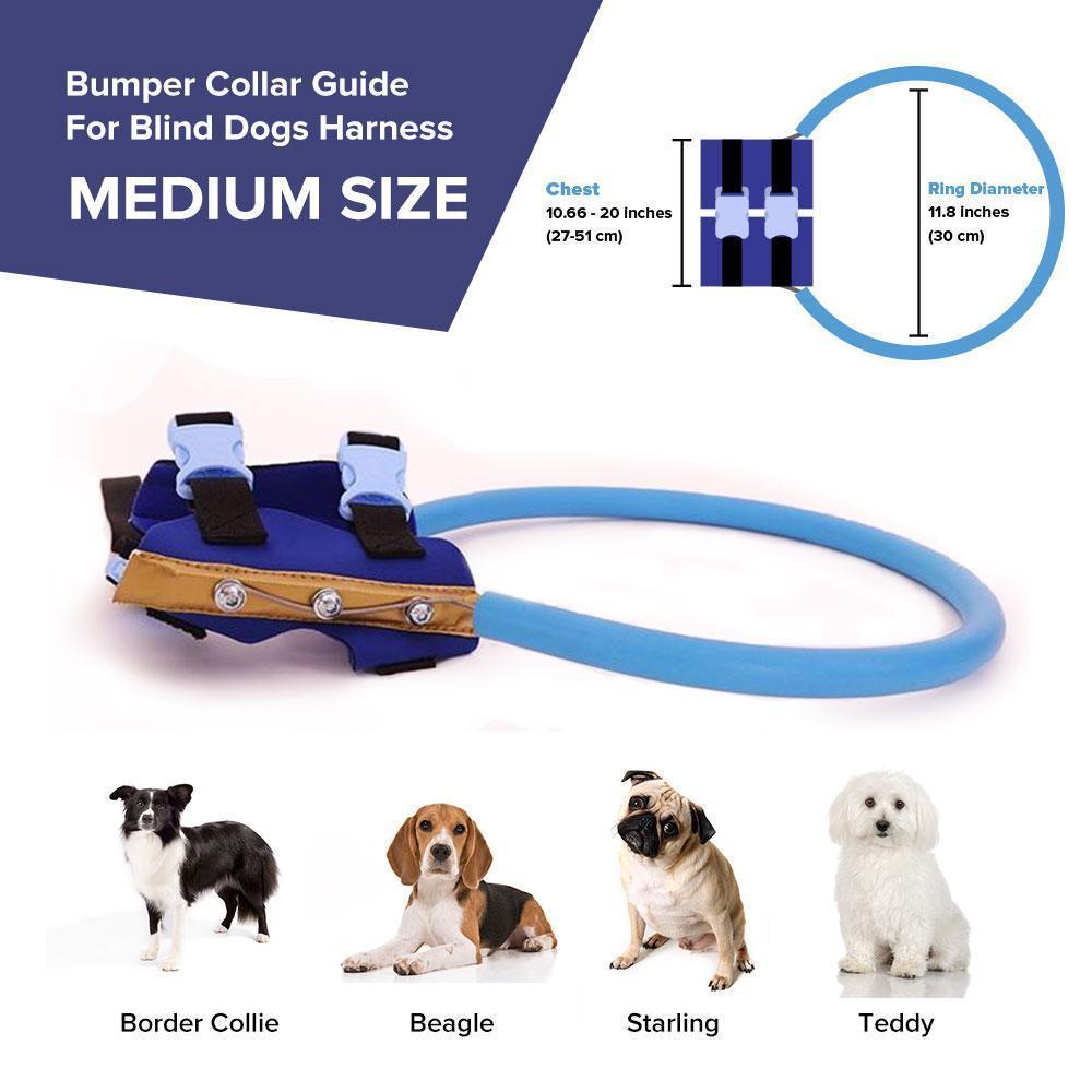 Blind Dog Bumper Collar Harness — Protective Mobility Aid 11