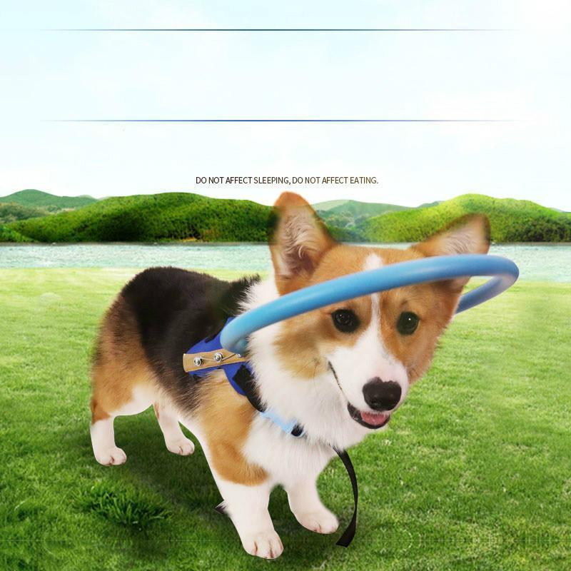 Blind Dog Bumper Collar Harness — Protective Mobility Aid 3