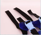 Blind Dog Bumper Collar Harness — Protective Mobility Aid 6