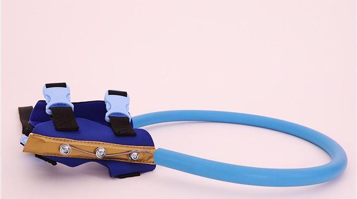 Blind Dog Bumper Collar Harness — Protective Mobility Aid 7