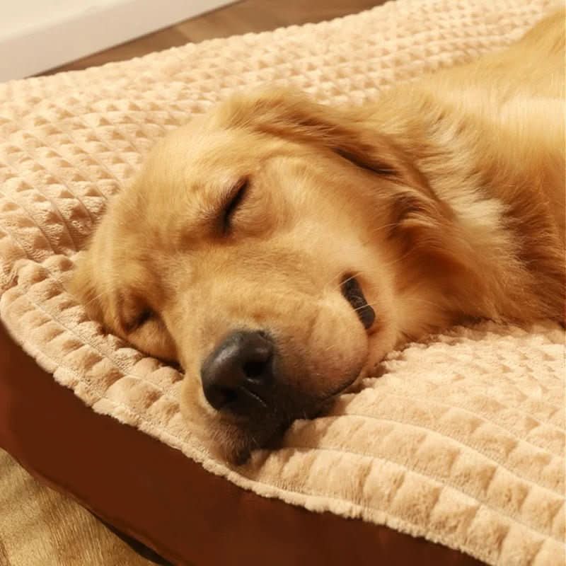 PawRest Orthopedic Dog Bed — Joint-Relief Foam Support 2