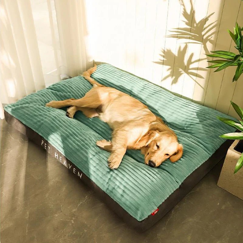 PawRest Orthopedic Dog Bed — Joint-Relief Foam Support 5