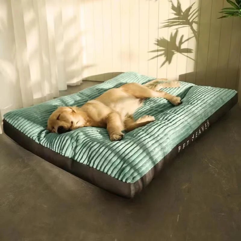 PawRest Orthopedic Dog Bed — Joint-Relief Foam Support 6