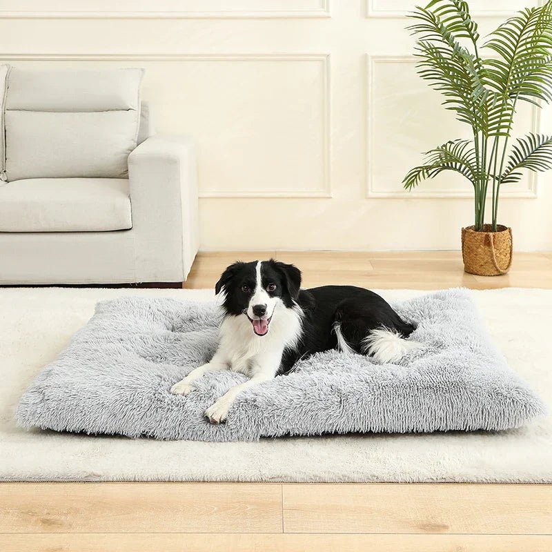 PETSIESTA Rectangular Dog Bed — Extra Soft Plush, 4 Sizes 2