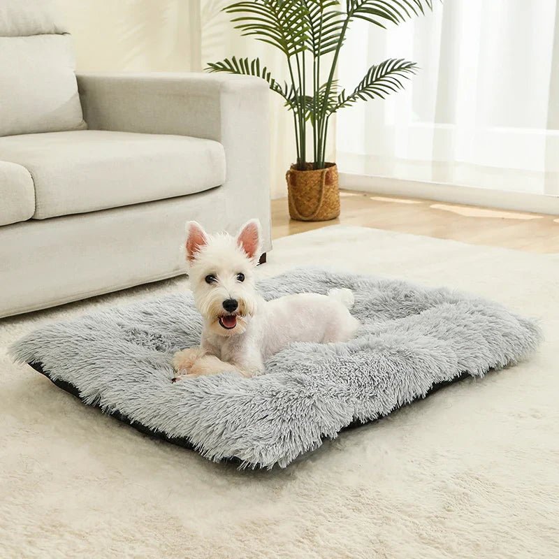 PETSIESTA Rectangular Dog Bed — Extra Soft Plush, 4 Sizes 3