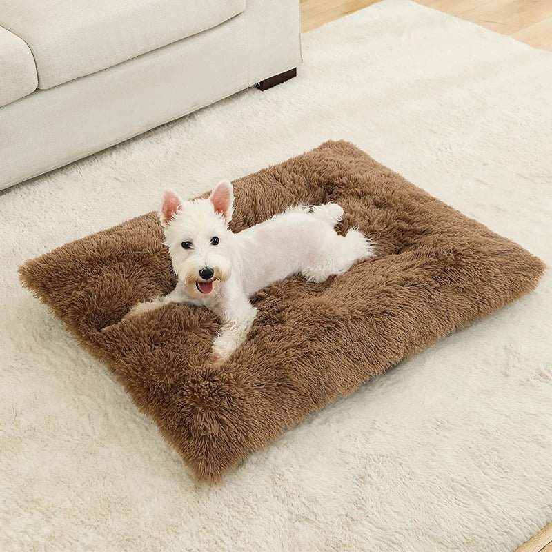 PETSIESTA Rectangular Dog Bed — Extra Soft Plush, 4 Sizes 5