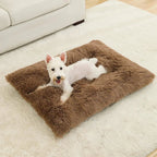 PETSIESTA Rectangular Dog Bed — Extra Soft Plush, 4 Sizes 5