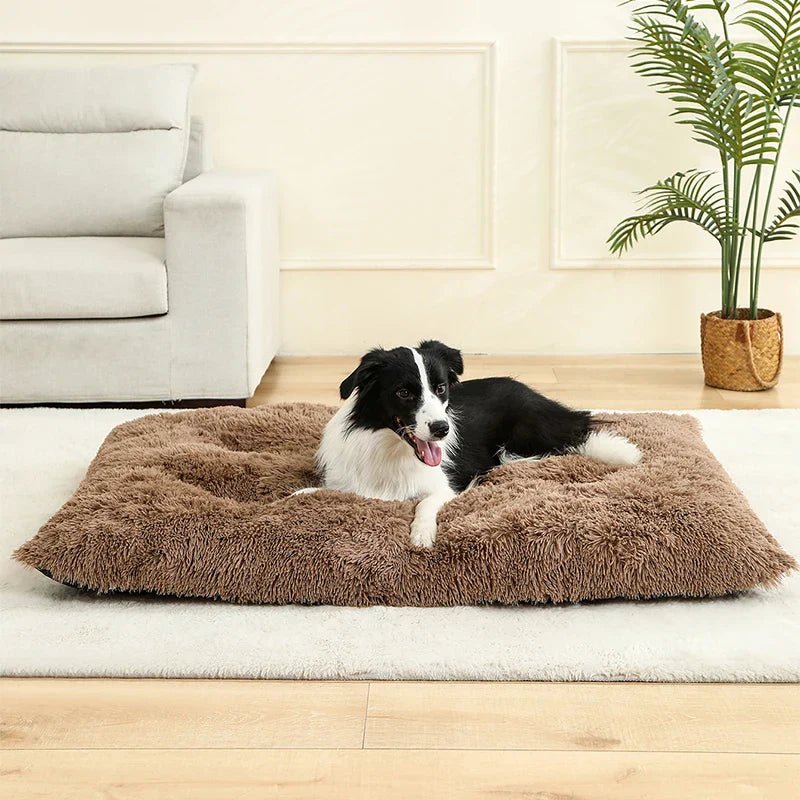 PETSIESTA Rectangular Dog Bed — Extra Soft Plush, 4 Sizes 6
