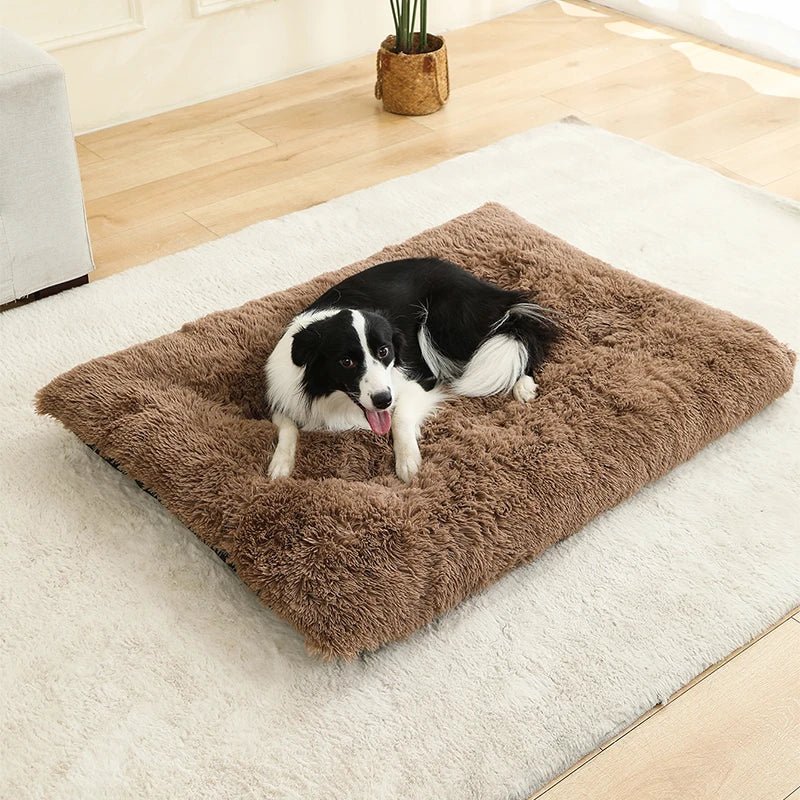 PETSIESTA Rectangular Dog Bed — Extra Soft Plush, 4 Sizes 9