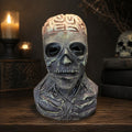 Realistic Skull Mask with Brain Detail — Latex Halloween Costume 2