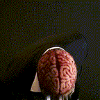 Realistic Skull Mask with Brain Detail — Latex Halloween Costume 6