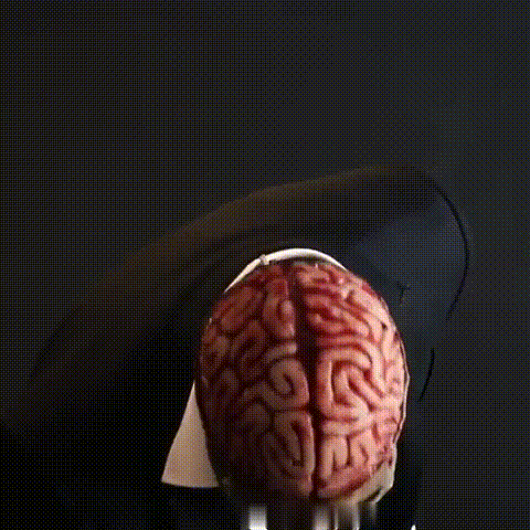 Realistic Skull Mask with Brain Detail — Latex Halloween Costume 6