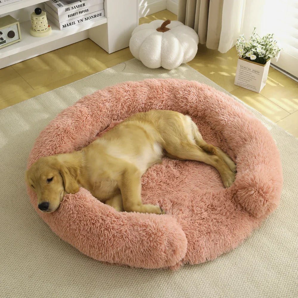Semi-Open Round Dog Bed — Ultra-Soft Plush & Washable Cover 4